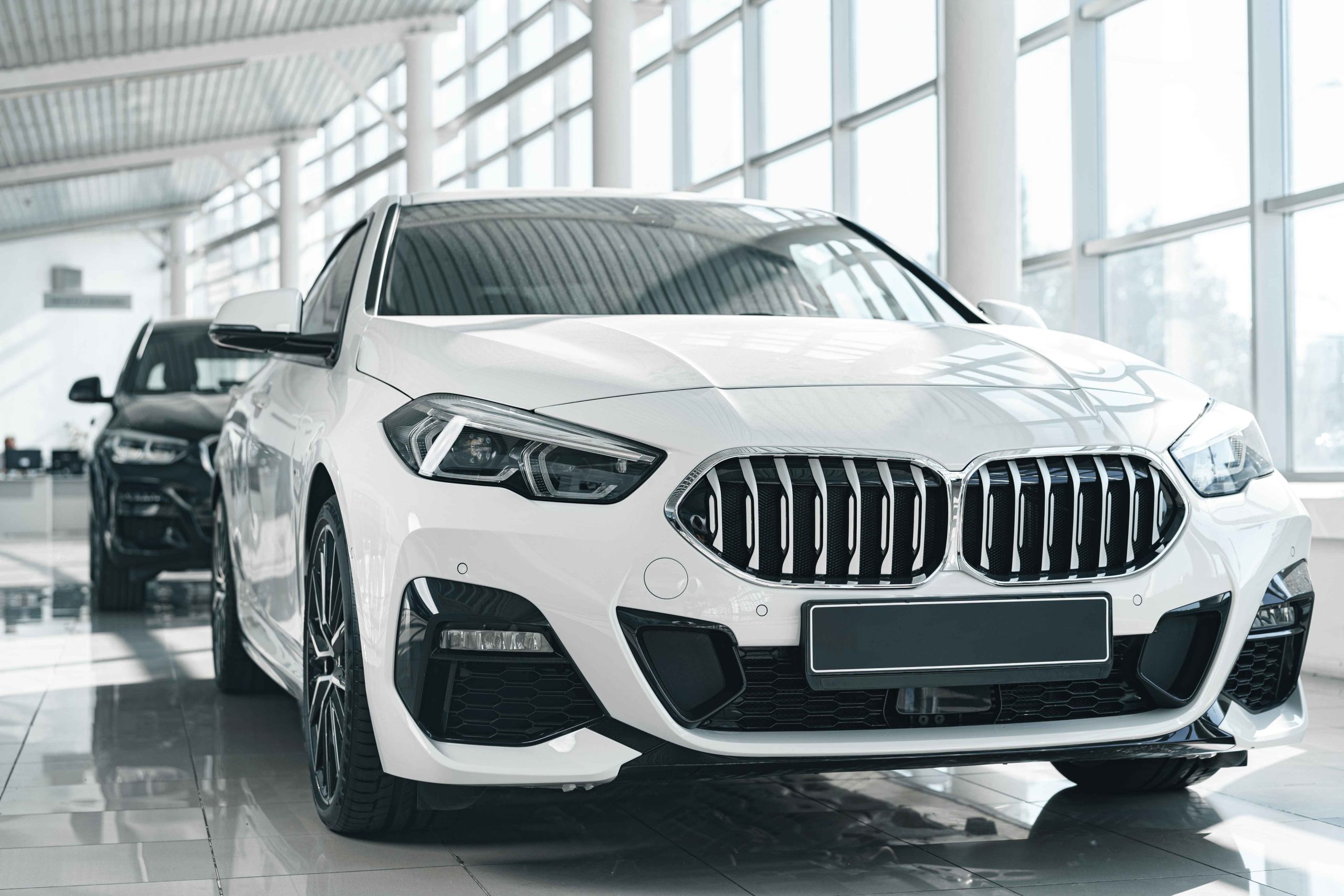Choosing the Right Rental Vehicle: Comparing Electric and Traditional Options: